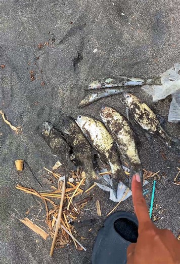 Pengalaman Memancing: Antara Boncos dan Poin