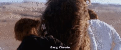 Easy, Chewie. on Make a GIF