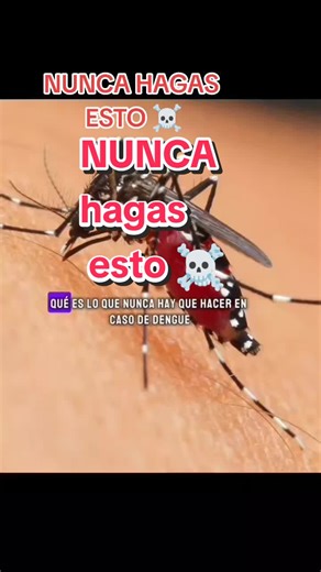 Si tienes de dengue, nunca hagas esto. #salud #doctor #dengue #fiebre #tratamiento #CapCut