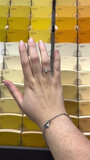 Encontró la paleta de colores perfecta 🤩