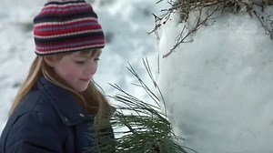 The Pledge 2001 Jack Nicholson Welcome to the movies and television