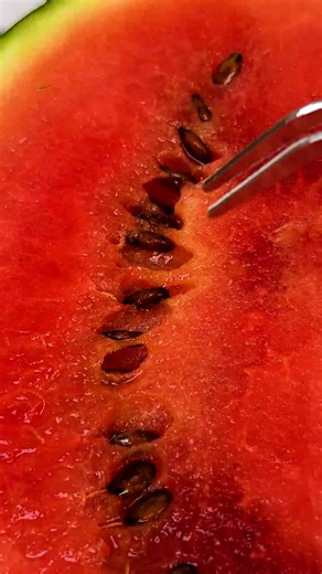 376K views · 864 reactions | How to grow watermelons at home! | Magic Hands Creations | Facebook