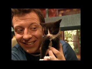 Zoboomafoo S01E37 Cats; featuring cats, jaguars, tigers, and more!