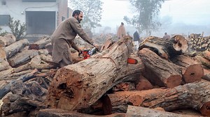 Crafting a Traditional Wooden Drum