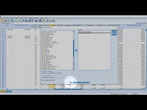 Using SPSS Running a Correlation