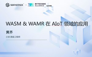 WebAssembly Open Day - 黄齐：《WASM & WAMR 在 AIoT 领域的应用》
