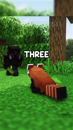 Three Adorable Minecraft Mods #3 #fyp #foryoupage #minecraft #minecraftmods #gaming #moddedminecraft #minecraftmod #minecraftmodshowcase #mod #mods