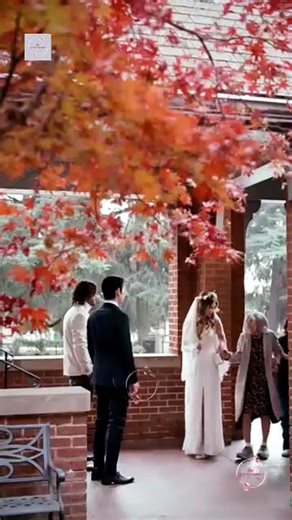 Uncle William, Please Say I Do