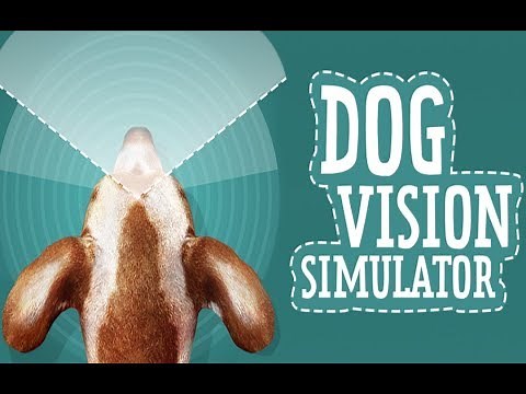 Dog Vision Simulator - Android App