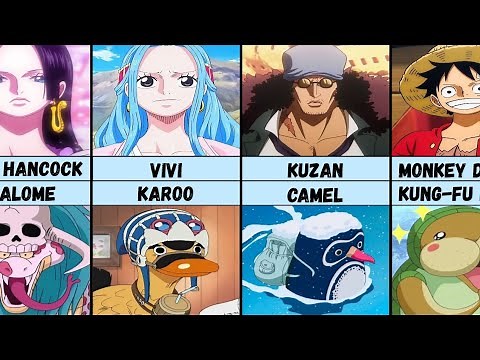 One Piece Characters and Their Pets | One Piece Pets