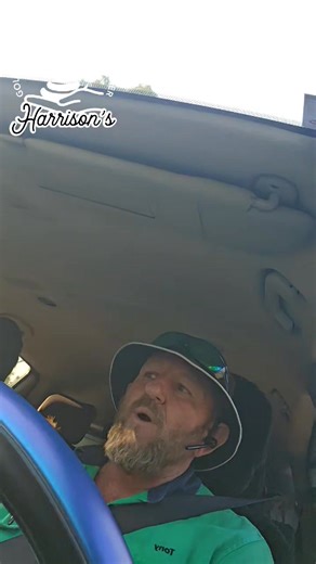 3.9K views · 78 reactions | Common tree snake in Jimboomba | Harrison's Gold Coast and Brisbane Snake Catcher | Facebook