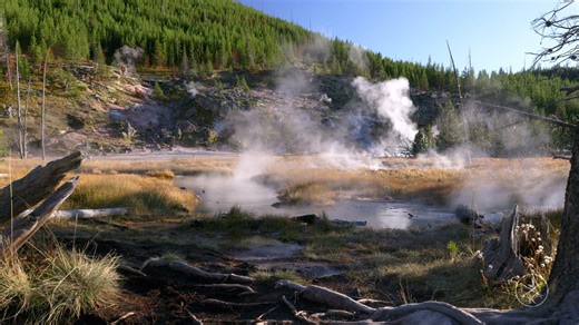 庆祝一下.达到1000粉了.感谢各位的支持.没有你们就没有今天的我.