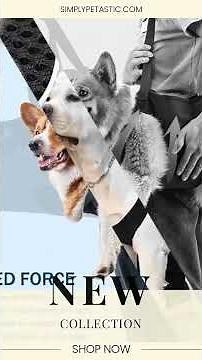 Help Em Up Harness Dog Lift