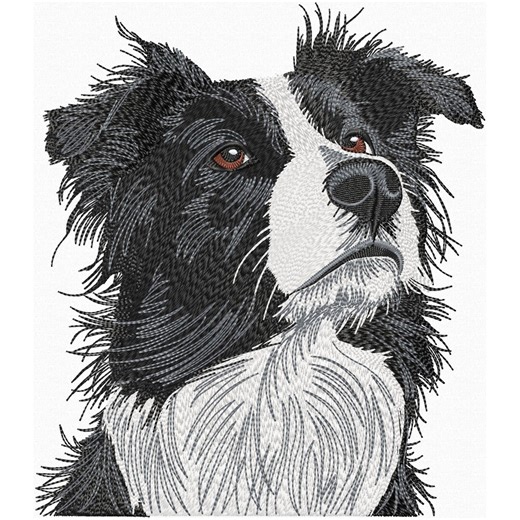Border Collie Embroidery Design, Realistic Sheepdog Machine Embroidery, Border Collie Peeking Dog Embroidery File - Etsy