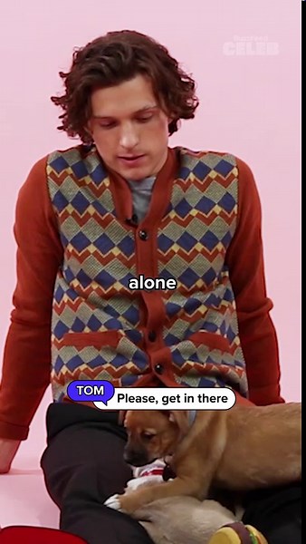 Zendaya and Tom Holland puppy interview | Alone vs together