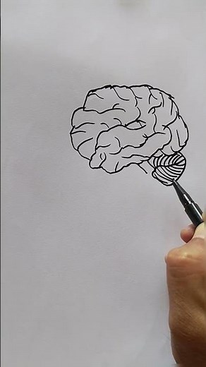 How to Draw Brain 🧠 Easy Step by Step | Realistic Brain Drawing #drawing #art #brain #howtodraw
