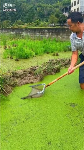 #"Catching Fish from Rock Pools🐟 |Village Fishing""Collecting Fresh Fish from Mountain Stream🏞️