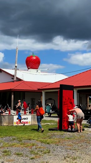 21K views · 75 reactions | ✨ LAST CHANCE! ✨ Our Watermelon +...