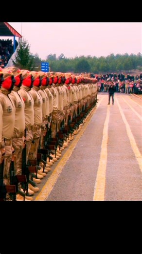 🇹🇷⚔️ Turkey’s Elite Armed Forces | Real Combat & Tactical Skills #turkishmilitary #army #skills