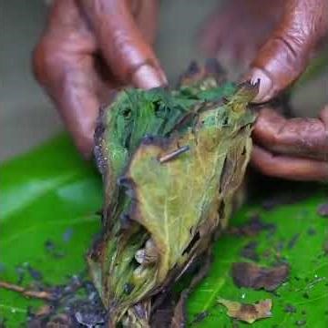Authentic Village Fish Paste Cooking Technique 😍🍃