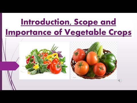 Introduction, importance & scope, constraints and future thrust of vegetable cultivation in India
