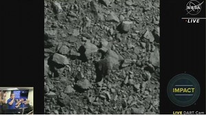 Houstonians react to successful NASA DART mission