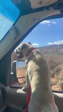 On our way to spend some time on the river! #vancamping