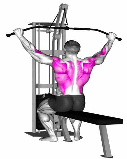 3.1K views · 116 reactions | Back Workout Volumen y Definición | Full workout | Facebook