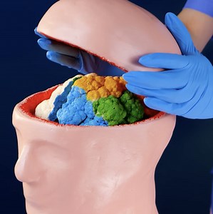 197K views · 552 reactions | easy breakdown of fascinating medical procedures | 5-Minute Crafts Family | Facebook