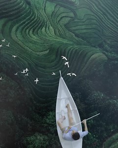 774K views · 1.8K reactions | Have you already tried the super wallpaper from MIUI 12？Let get into the world and discover the beauty of Mother Nature！ Like this video and check out our page to get more details about MIUI 12 | Xiaomi HyperOS | Facebook