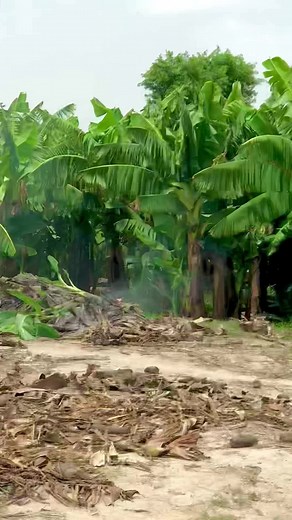 #foryoupage #foryoupage #foryoupage #foryoupage