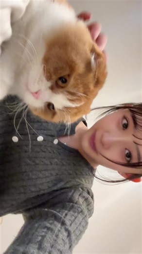 足元に注目！楽しいダンスパフォーマンス