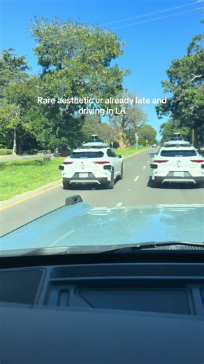 Managing Road Rage in Los Angeles with Waymo