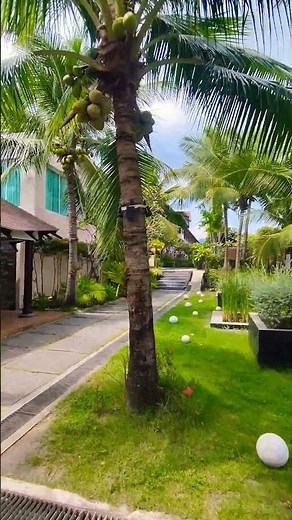 The Weekender Resort in Koh Samui