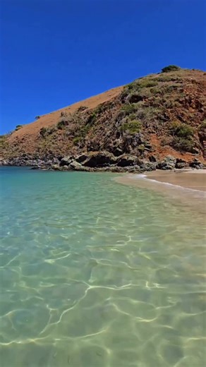 LA PROMOCIÓN QUE NO PODÍAMOS DEJAR PASAR😱 Disfrute de recorrer la isla ideal para nucleos familiares el lugar perfecto para unas merecidas vacaciones🤩 Incluye ✅4 días 3 noches ✅2 y 4personas 189$ ✅ 1 traslado al club de playa ⚠️Temporada media o baja⚠️ El precio es por el paquete completo ❌NO INCLUYE NI BOLETOS NI TRASLADOS Date prisa y reserva ya🥳😱 #EscápateConNosotros#islademargarita#playa #destinoyeventolotus360 #vacaciones#familia #venezuela | destinoyeventoslotus360