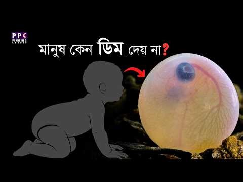 স্তন্যপায়ীরা কেন ডিম পাড়ে না | Why Don’t Mammals Lay Eggs?