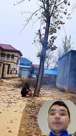 Cutting Wood with Power Hand Saw #woodcutting #powersaw #carpentry #constructionlife #timberwork | WoodPro | Facebook