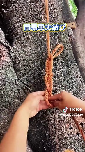 簡単な杭結びで命を守るロープ術
