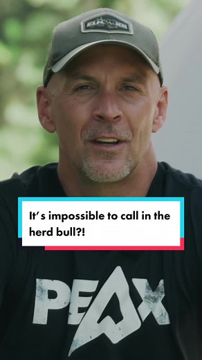 Proven Elk Hunting Tactics by World Champion Corey Jacobsen