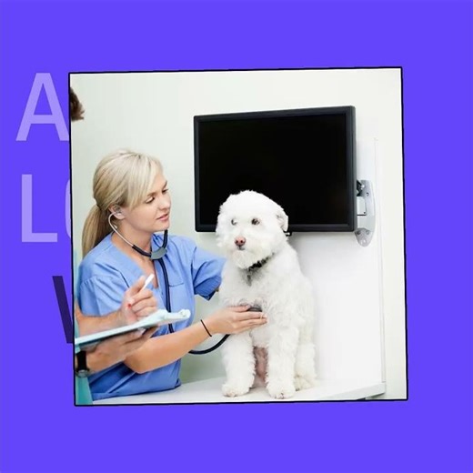 Animal Lovers Wanted