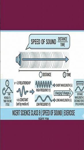 Speed of Sound Explained in 40 Seconds | Sound Chapter Exercise | Science Concept Made Easy