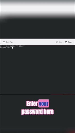 Install ClamAV on Linux: Easy Command You Need to Know! #shorts