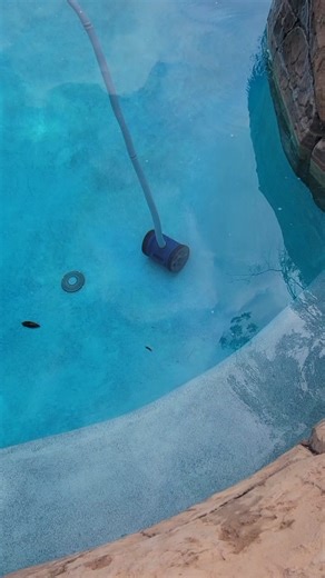 Pentair Rebel one of the best automatic pool cleaners.