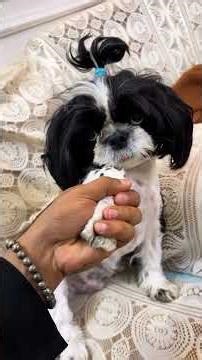 Nun movie ki dayan🤣