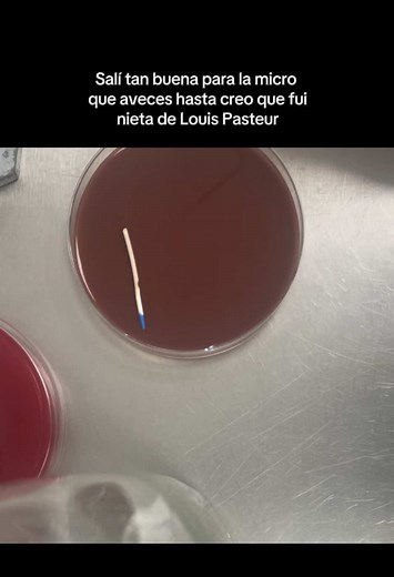 Explorando la Microbiología y el Legado de Louis Pasteur