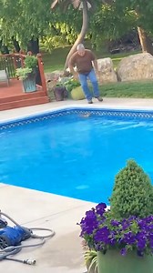 6.4M views · 63K reactions | The man rescued a fawn.#animals #tiktok #tiktok #story #fyp #fy #usa_tiktok #usa #rescue #fawn #deer #cuteanimals | Impossible Not to Like Animals | Facebook