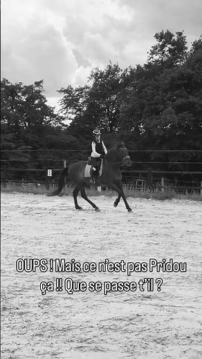 NOUVEAU CHEVAL 🖤