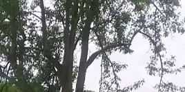 Watch What Happens When You Shoot a Fridge Full of Explosives