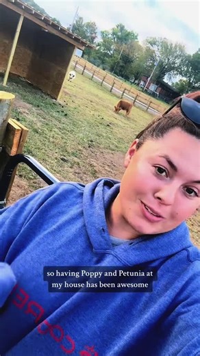 @katievanslykek tells us all about her experience with the Paddock Blade and how it could be helping you! ㅤ Visit the link in bio to get yours today! ㅤ PS...we also now have Klarna for different payment options! | Paddock Blade UK | Facebook