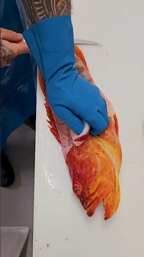 Cutting & Filleting the Beautiful Harlequin Fish 🌊 | Precision & Skill